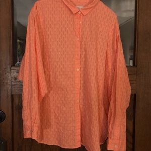 Raglan sleeve blouse